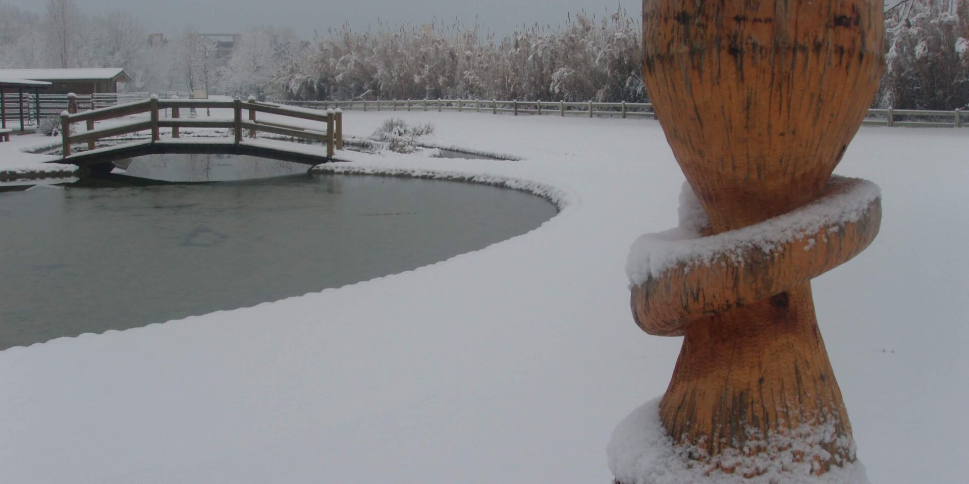 Nevada en la Mitjana – Lleida