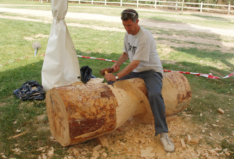 Nartura Lleida 2005